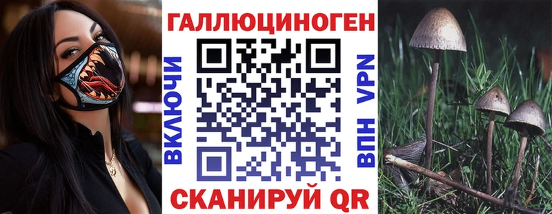 продажа наркотиков  Яранск  Псилоцибиновые грибы прущие грибы 